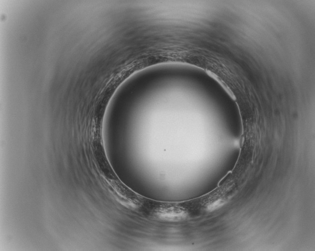 X0000087390752200704201242