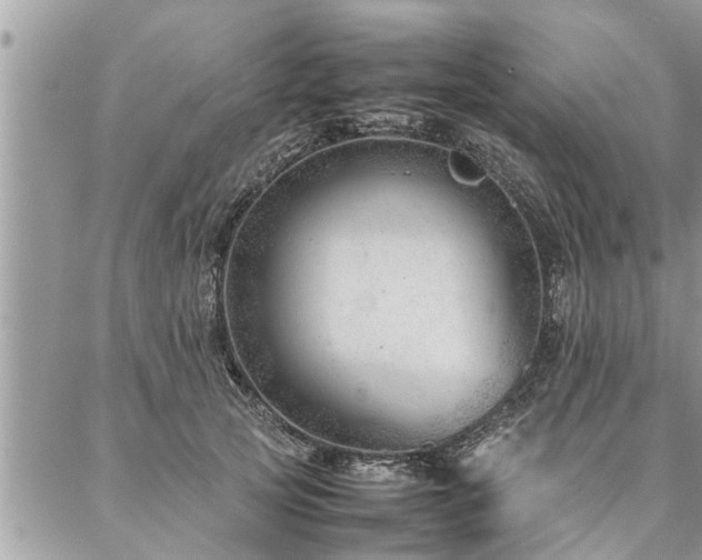 X0000087390753200704201242