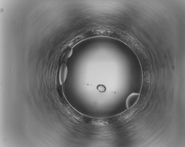 X0000087390754200704201242