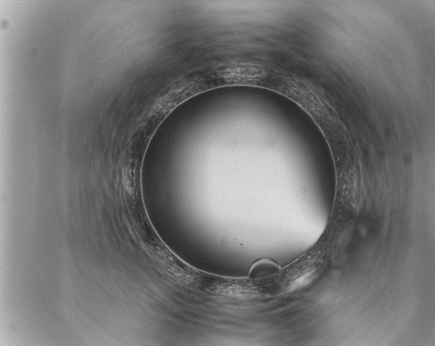 X0000087390755200704201242