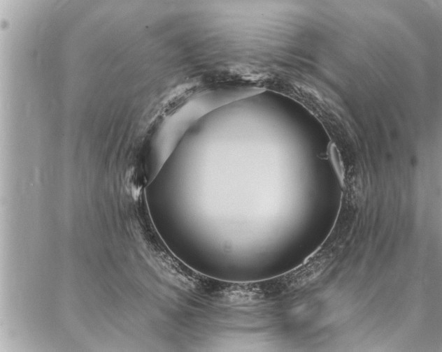 X0000087390756200704201242