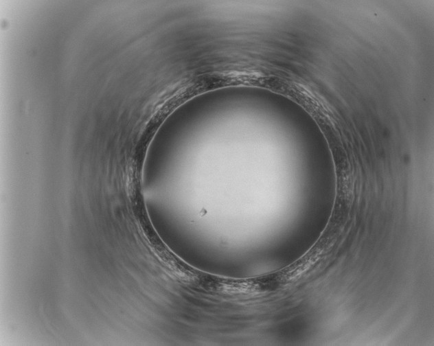 X0000087390757200704201242