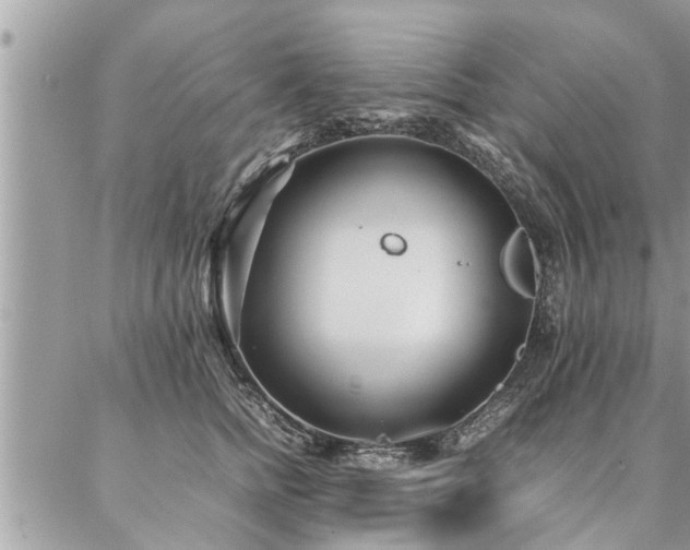 X0000087390758200704201242