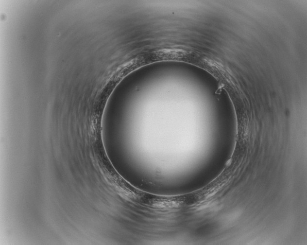 X0000087390759200704201242