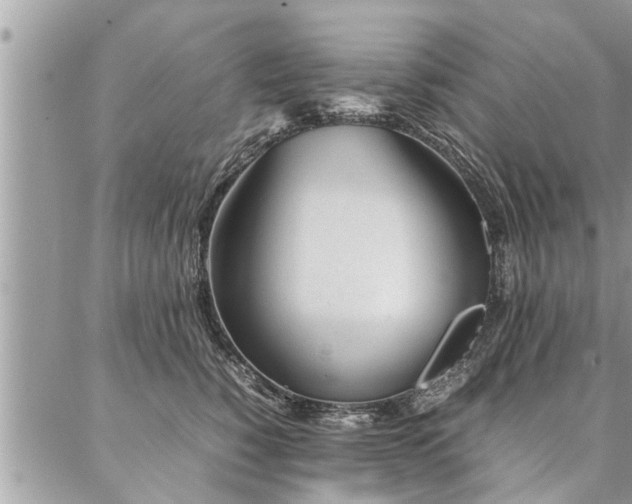 X0000087390760200704201242