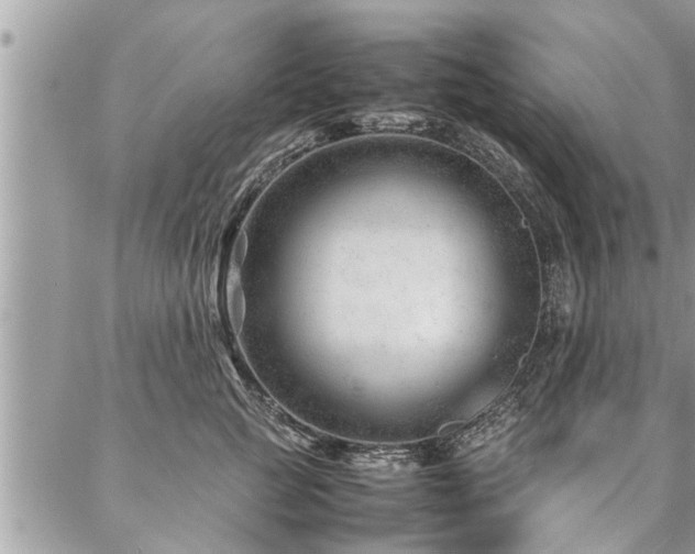 X0000087390761200704201242