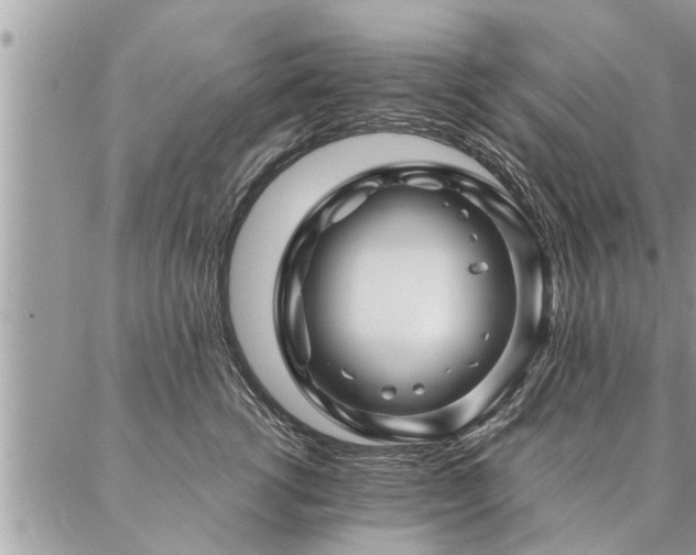 X0000087390762200704201242