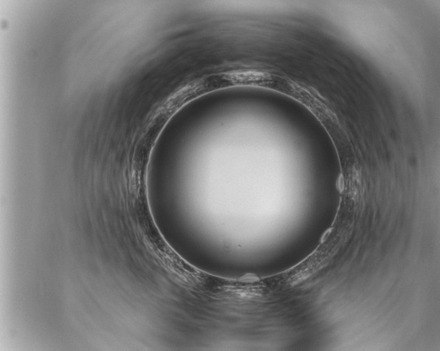 X0000087390763200704201242