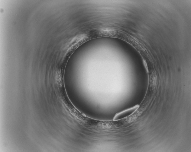 X0000087390764200704201242