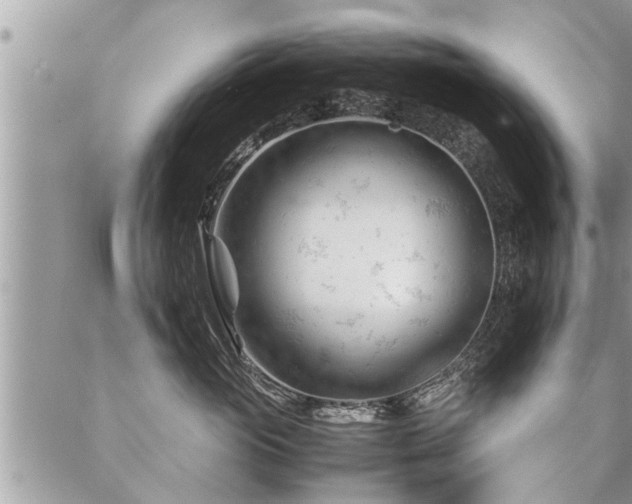 X0000087390765200704201242