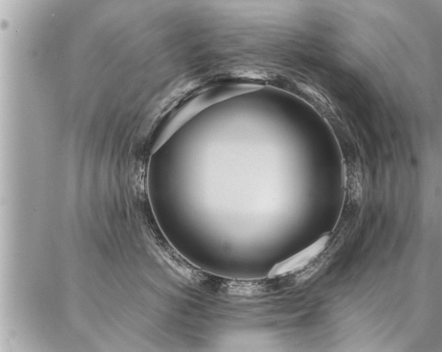 X0000087390766200704201242