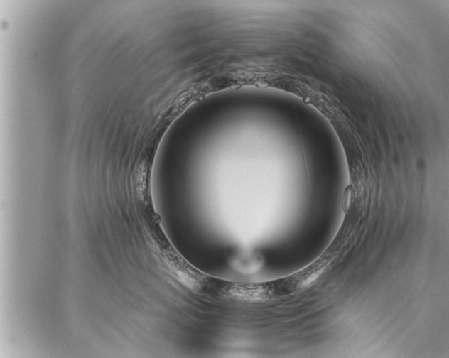 X0000087390767200704201242