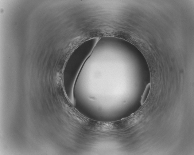 X0000087390768200704201242