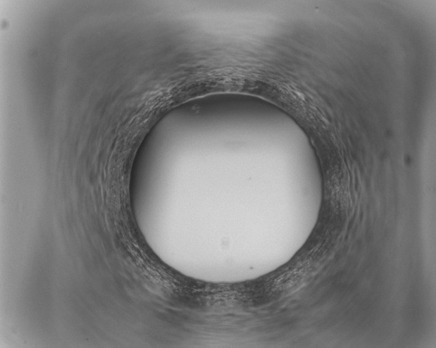 X0000087390769200704201241