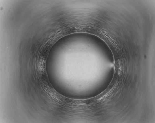 X0000087390770200704201241