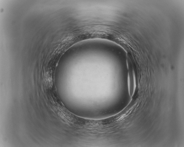 X0000087390771200704201241