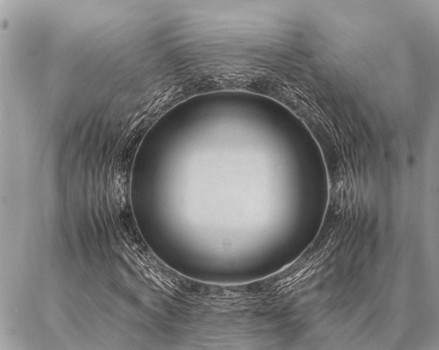 X0000087390772200704201241