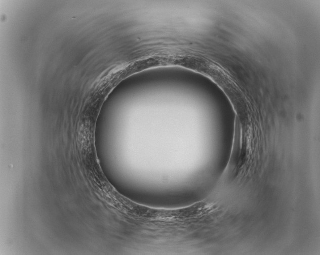 X0000087390773200704201241