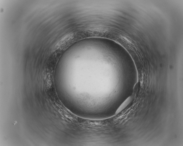 X0000087390774200704201241