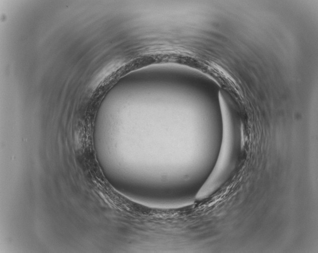 X0000087390775200704201241