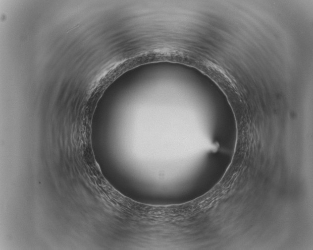 X0000087390776200704201241