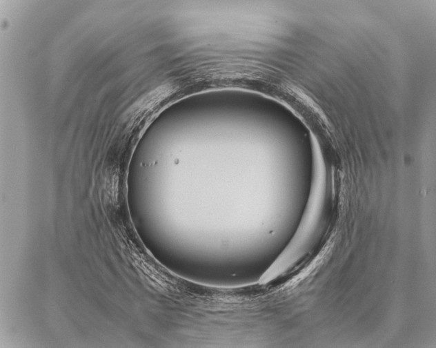 X0000087390777200704201241