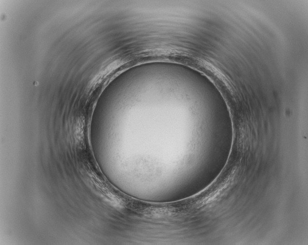 X0000087390778200704201241