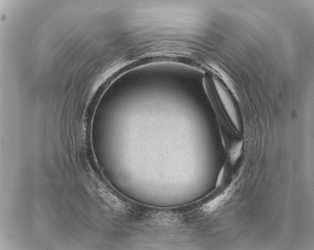 X0000087390779200704201241