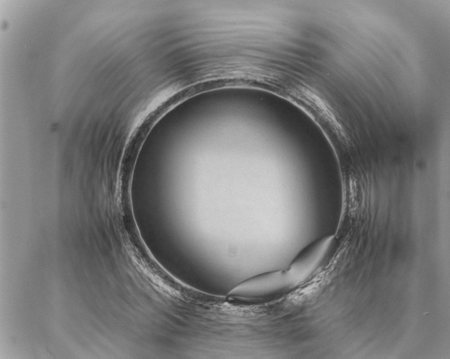 X0000087390780200704201241