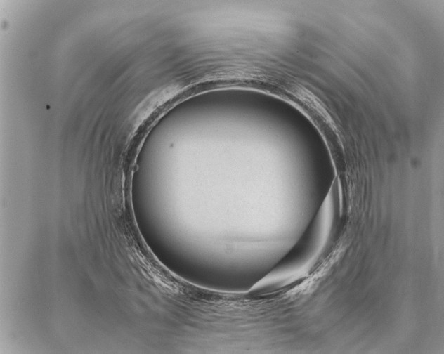 X0000087390781200704201241