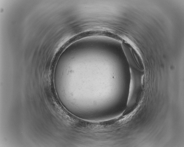 X0000087390783200704201241