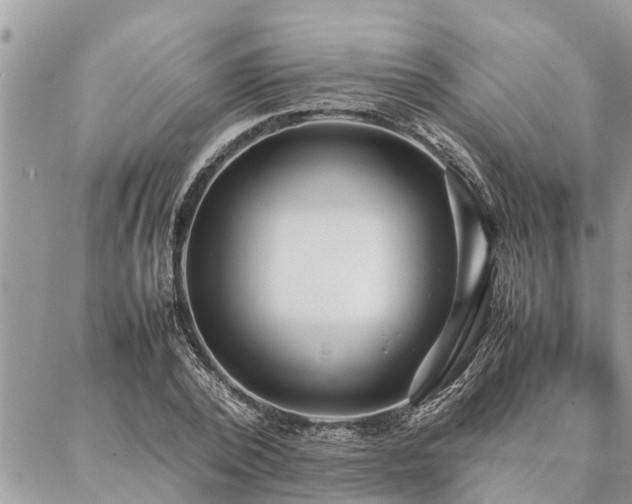 X0000087390784200704201241