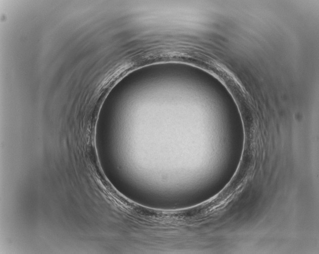 X0000087390785200704201241