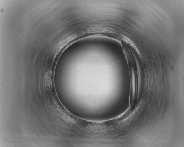 X0000087390786200704201241