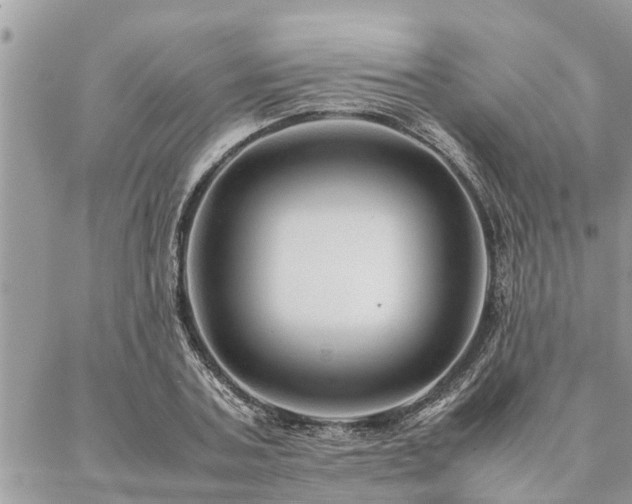 X0000087390787200704201241