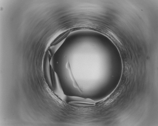 X0000087390788200704201241