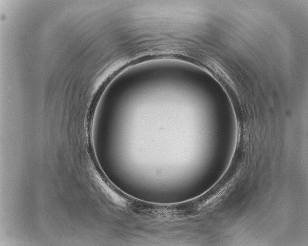 X0000087390789200704201241