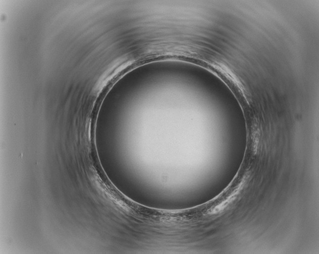 X0000087390790200704201241