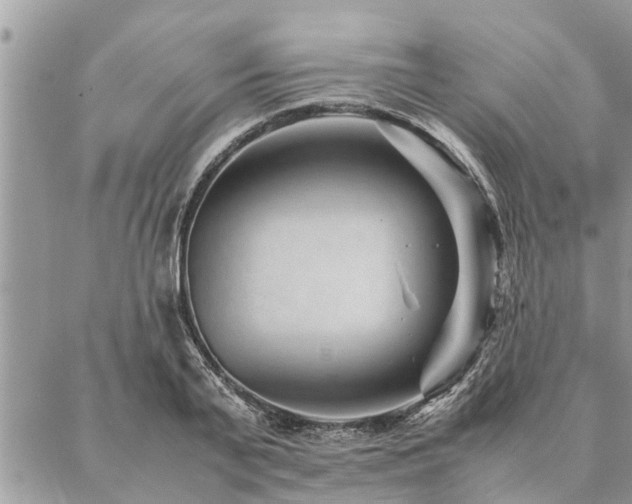 X0000087390791200704201241