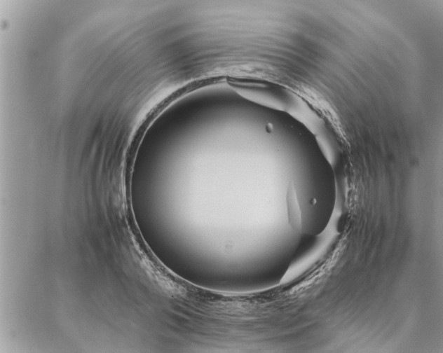 X0000087390792200704201241