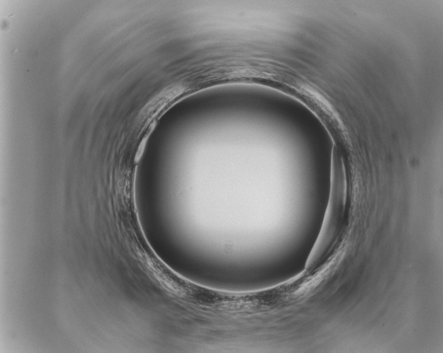 X0000087390793200704201241