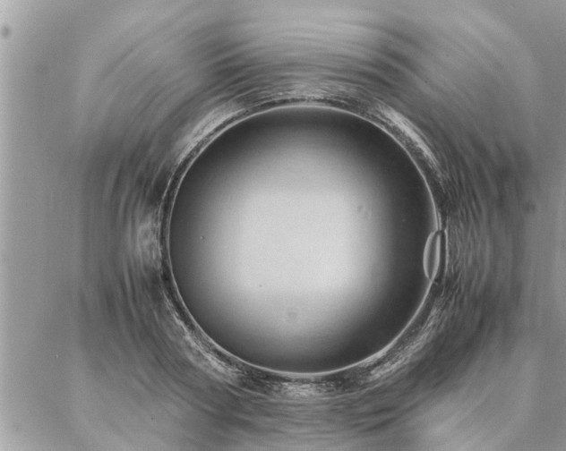 X0000087390794200704201241