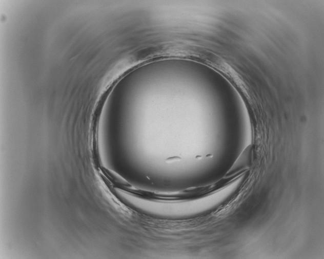 X0000087390795200704201241