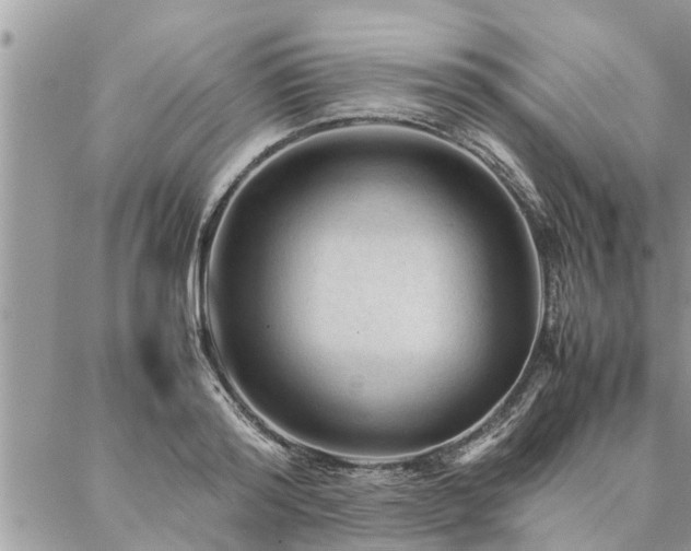 X0000087390796200704201241