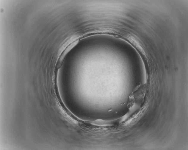 X0000087390797200704201241