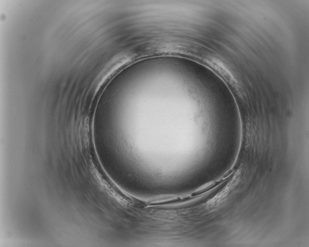 X0000087390798200704201241