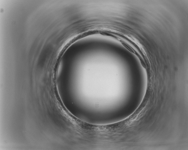 X0000087390799200704201241