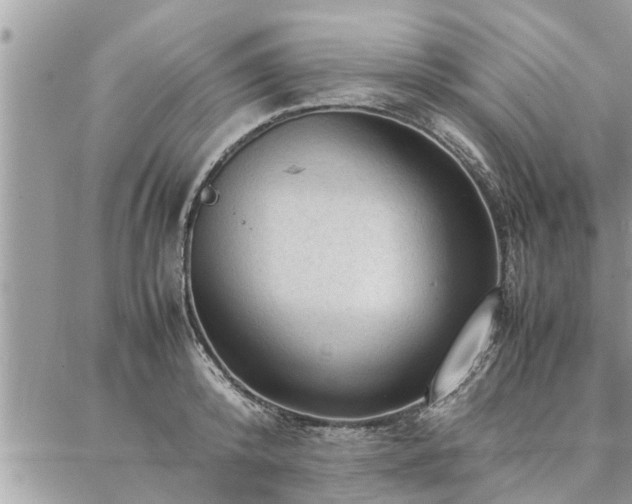 X0000087390800200704201241