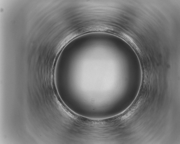 X0000087390802200704201241