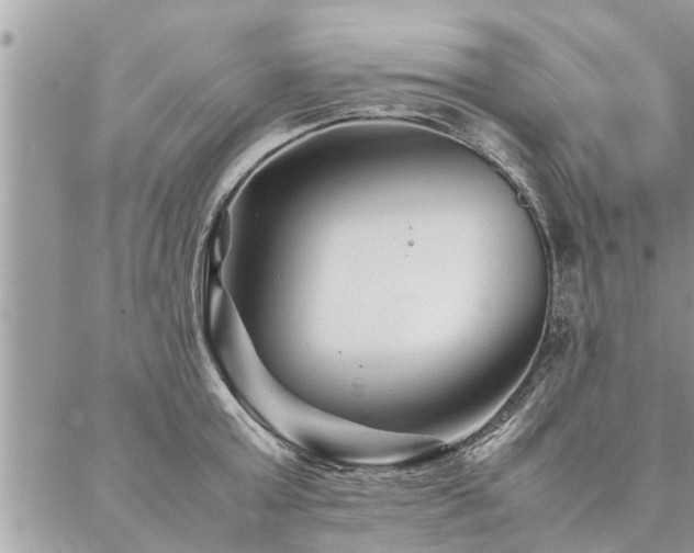 X0000087390803200704201241